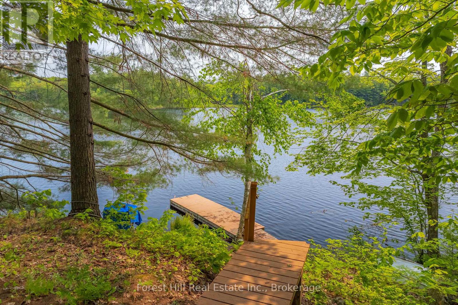 1067 West Black Lake Road, Muskoka Lakes, Ontario  P0C 1M0 - Photo 35 - X12573156