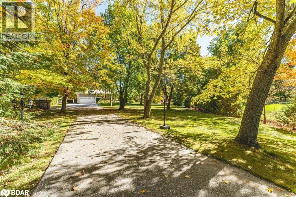 5853 Yonge Street, Innisfil, Ontario L0L 1K0 - Photo 23 - 40780757