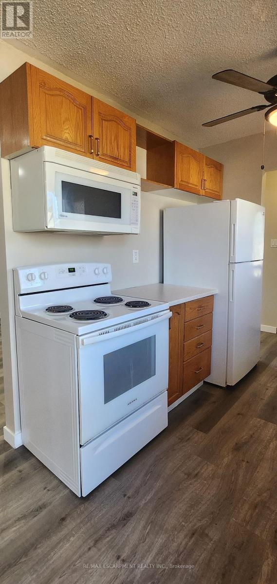 25 Sheldon Street, Brantford, Ontario  N3T 6C2 - Photo 7 - X12573108