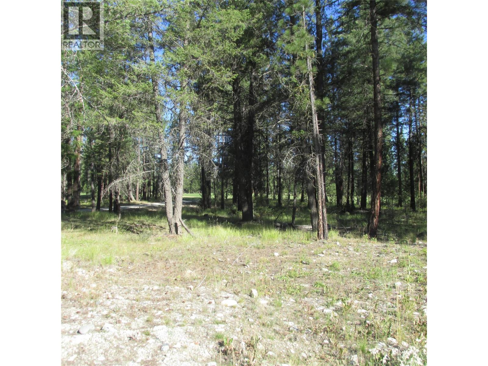 172 Shadow Mountain Boulevard N, Cranbrook, British Columbia  V1C 0C6 - Photo 3 - 10369738