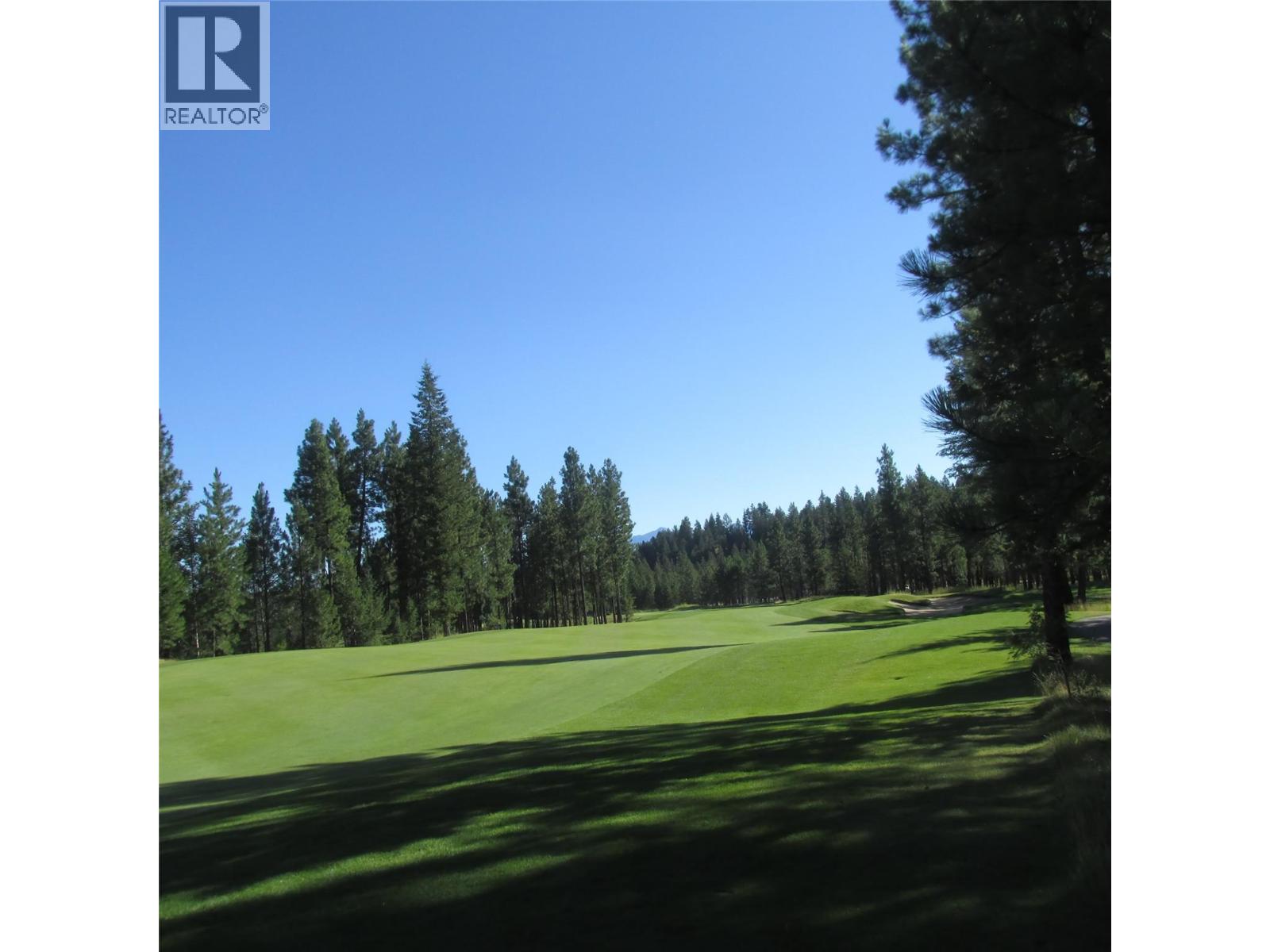 172 Shadow Mountain Boulevard N, Cranbrook, British Columbia  V1C 0C6 - Photo 7 - 10369738