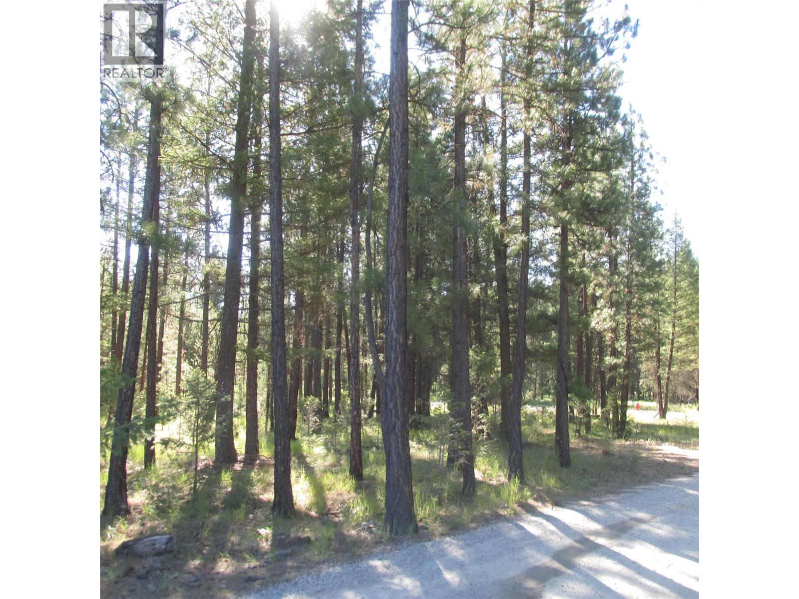 172 Shadow Mountain Boulevard N, Cranbrook, British Columbia  V1C 0C6 - Photo 4 - 10369738