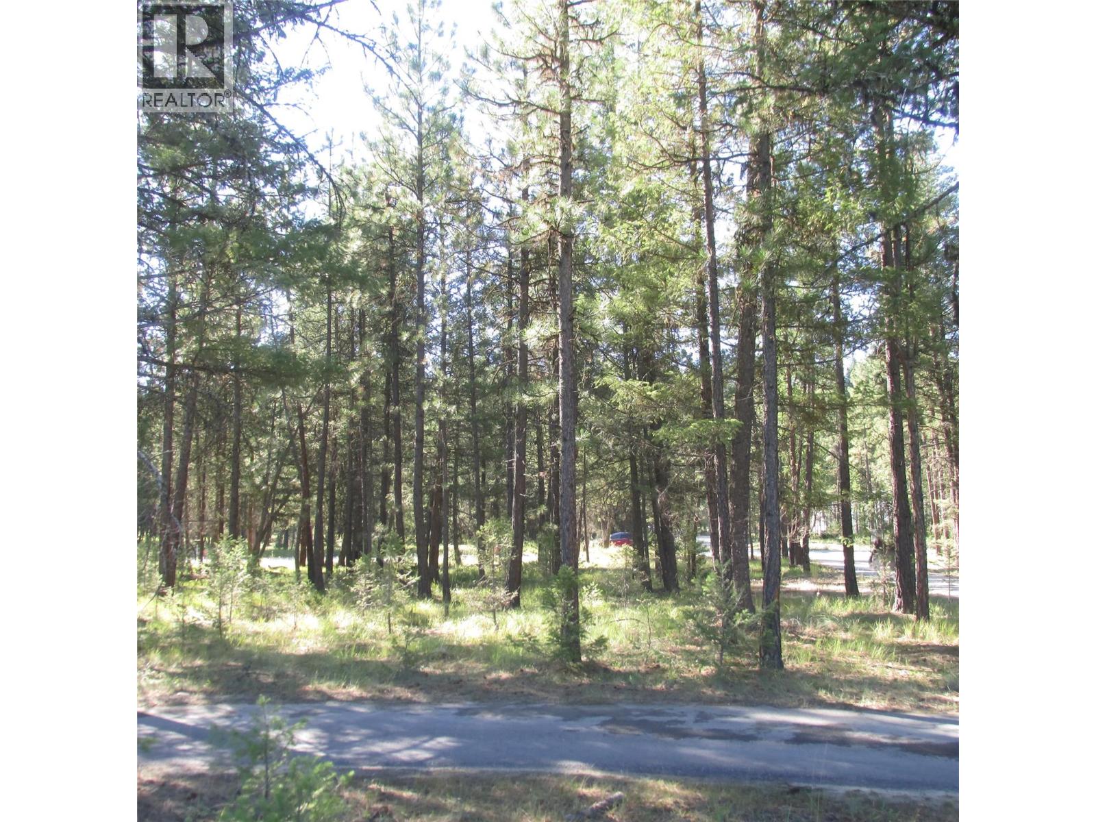 172 Shadow Mountain Boulevard N, Cranbrook, British Columbia  V1C 0C6 - Photo 5 - 10369738