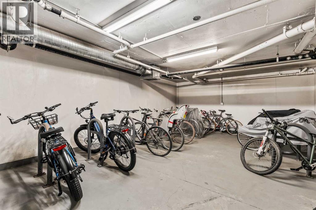 206, 301 10 Street Nw, Calgary, Alberta  T2N 1V5 - Photo 28 - A2265458