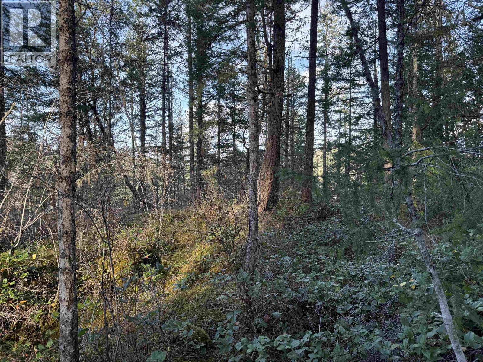 Lot B Francis Peninsula Road, Madeira Park, British Columbia  V0N 2H1 - Photo 13 - R3069731