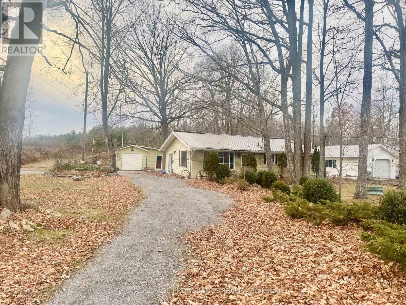 39 Booster Park Road, Marmora And Lake, Ontario  K0K 2M0 - Photo 4 - X12447522