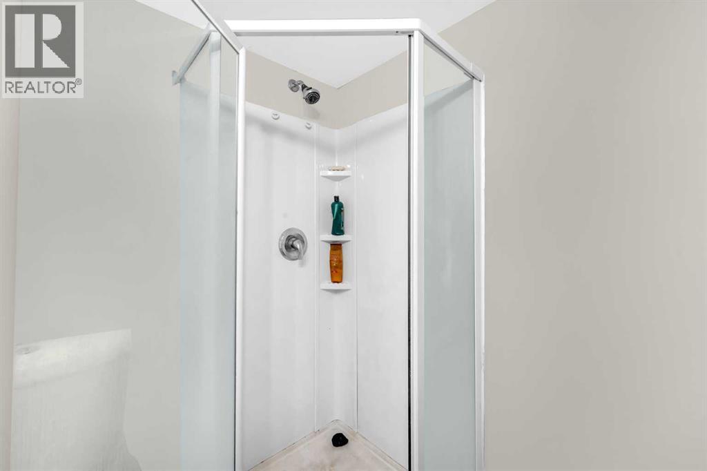 4 Saddlecreek Terrace Ne, Calgary, Alberta  T3J 4A5 - Photo 38 - A2261567