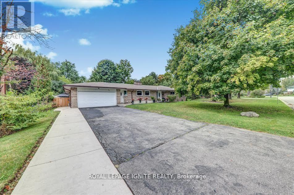 BSMT - 36 HILLSIDE DRIVE, Brampton, Ontario