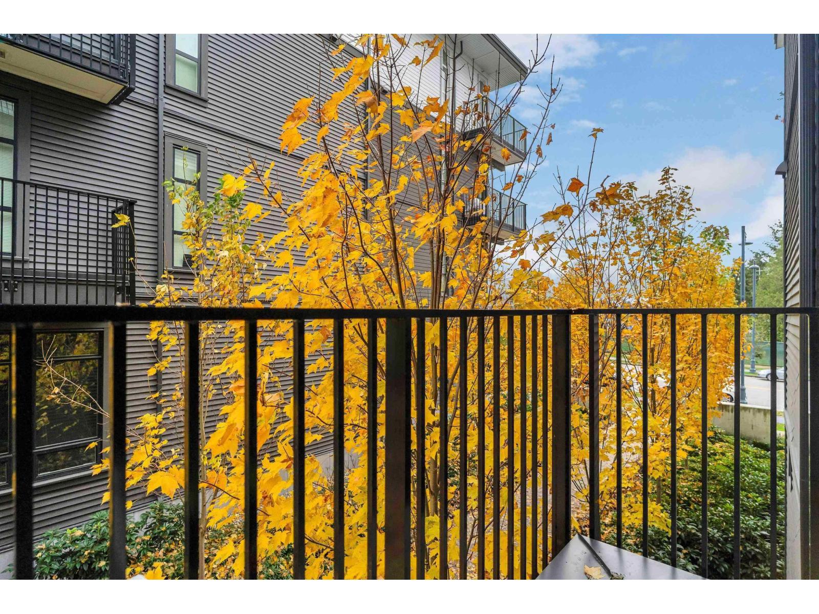 202 13929 105 Boulevard, Surrey, British Columbia  V3T 0R5 - Photo 26 - R3068991