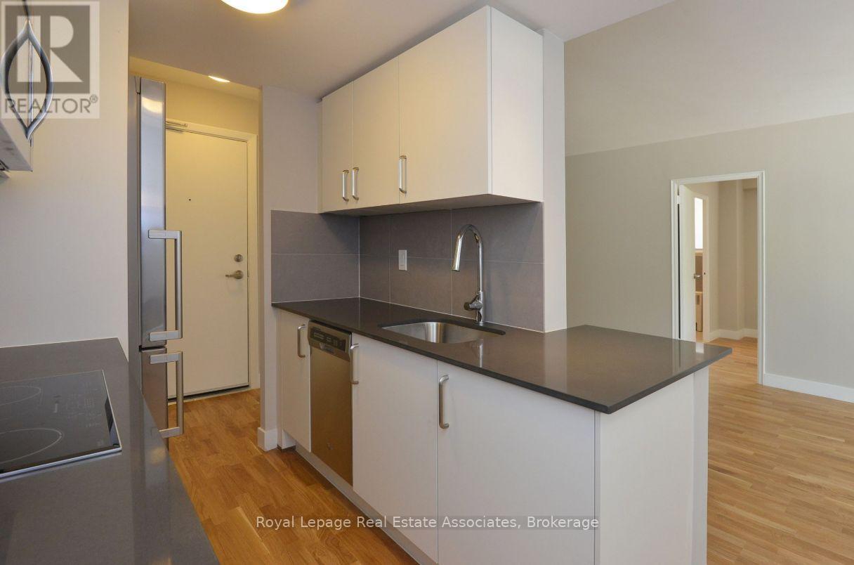 205 - 99 Tyndall Avenue, Toronto, Ontario  M6K 2G2 - Photo 3 - W12573624