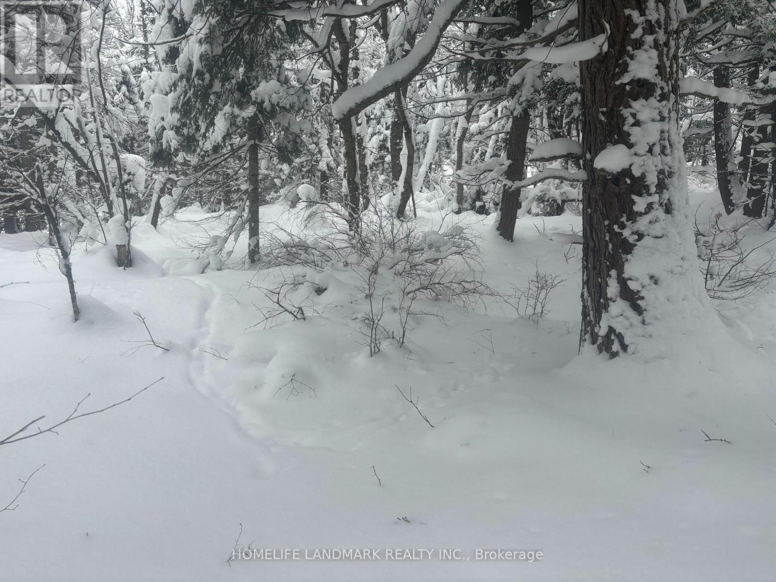 153 ACRES PARCEL 18476, Timmins, Ontario