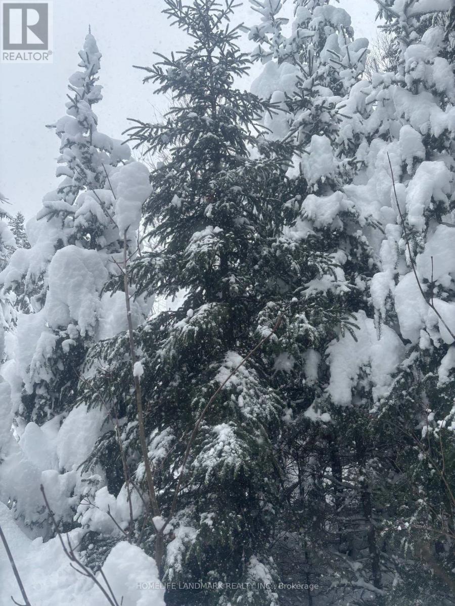 153 Acres Parcel 18476, Timmins, Ontario  P4N 2C7 - Photo 2 - T12573642