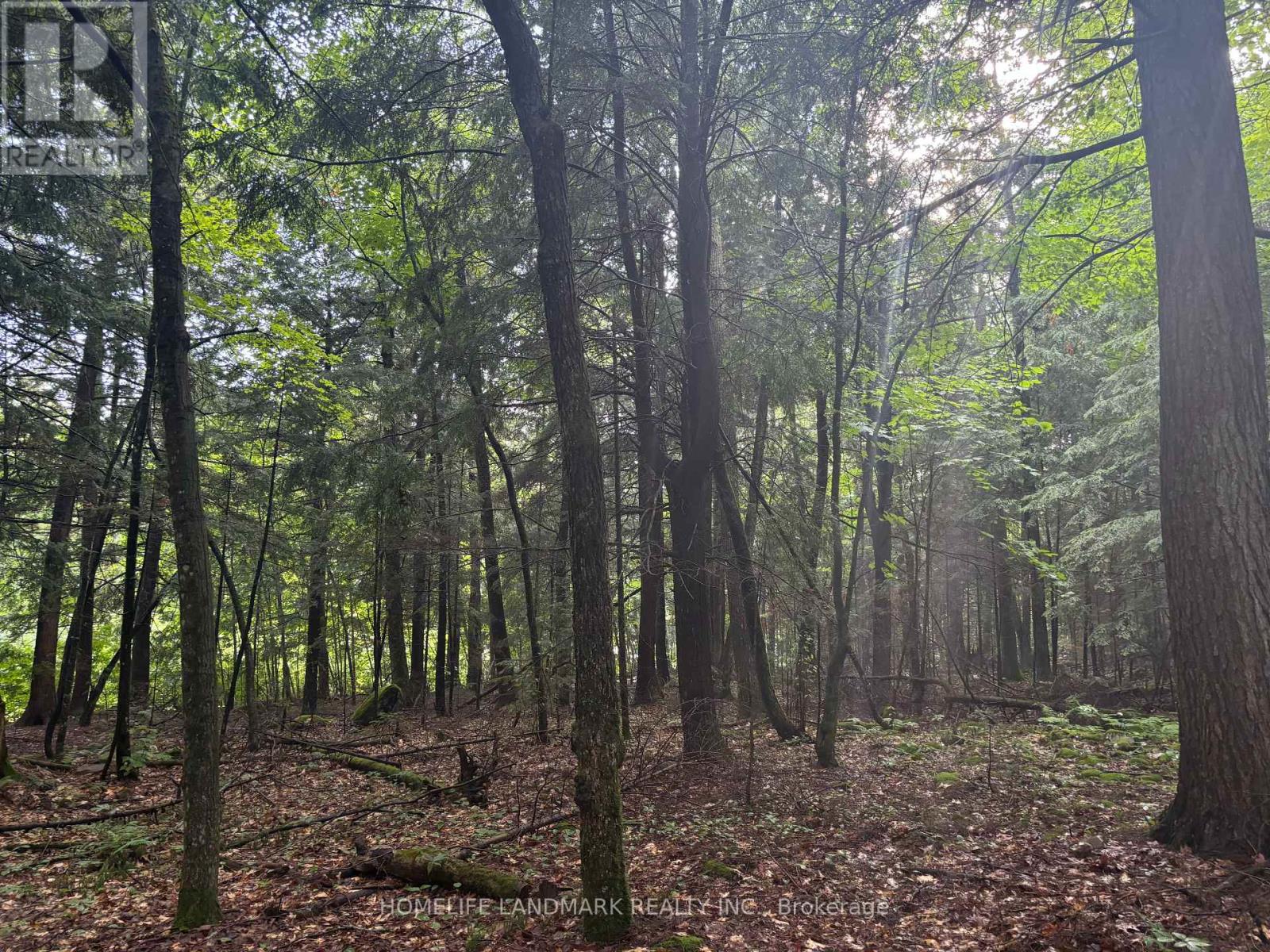 153 Acres Parcel 18476, Timmins, Ontario  P4N 2C7 - Photo 3 - T12573642