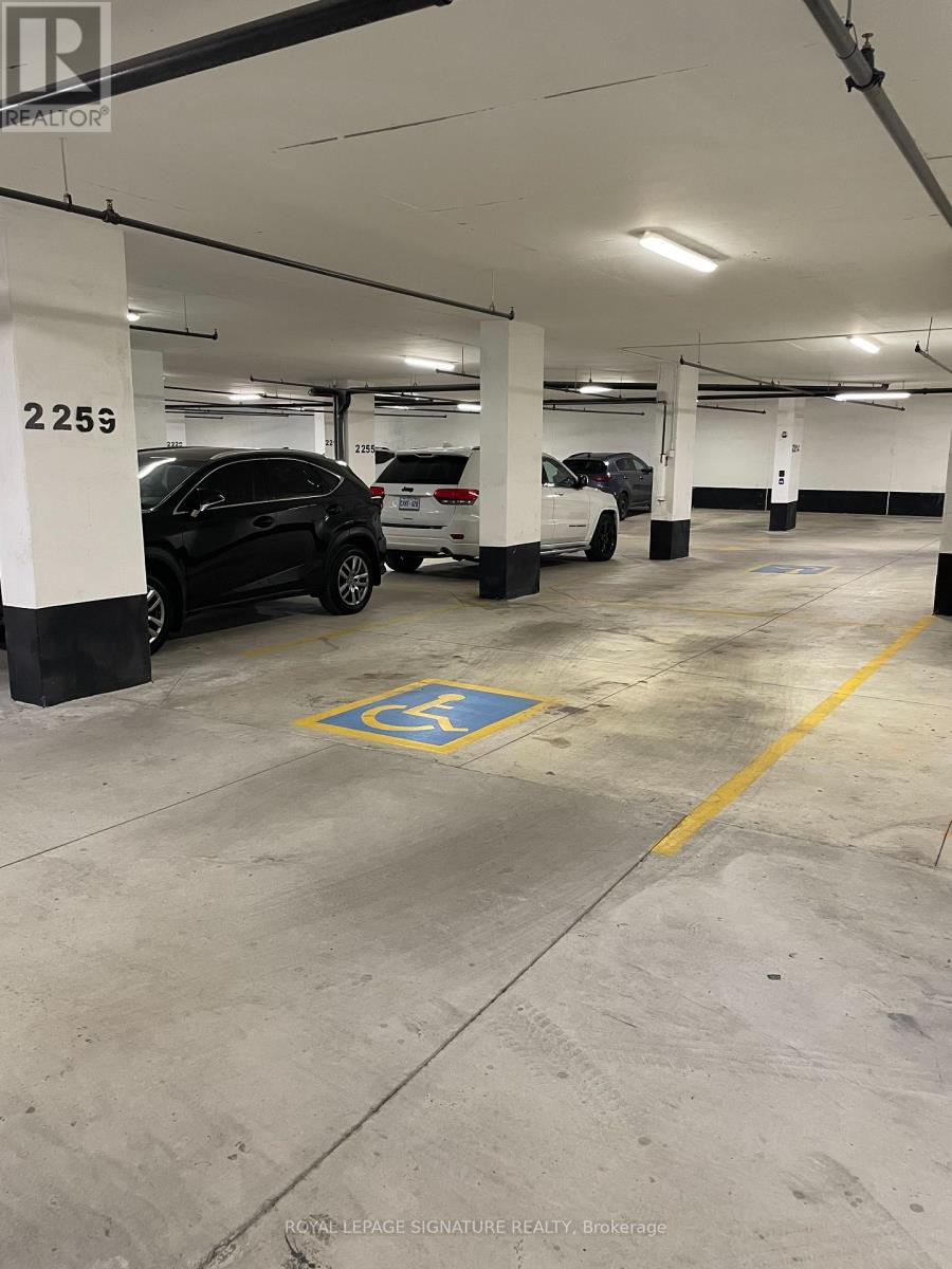 201 - 60 George Butchart Drive, Toronto, Ontario  M3K 0E1 - Photo 2 - W12573674