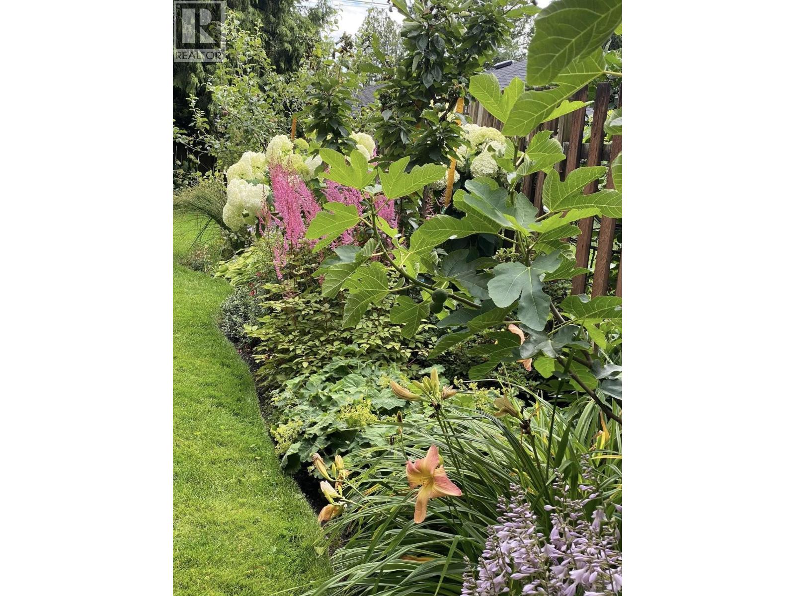 349 E 24th Street, North Vancouver, British Columbia  V7L 3E9 - Photo 33 - R3069822