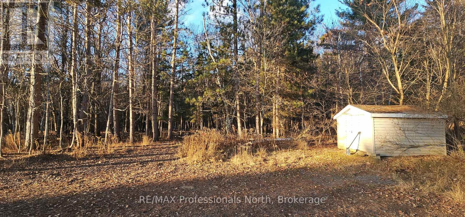 62 Riverside Drive, Huntsville, Ontario  P1H 1R6 - Photo 32 - X12573816