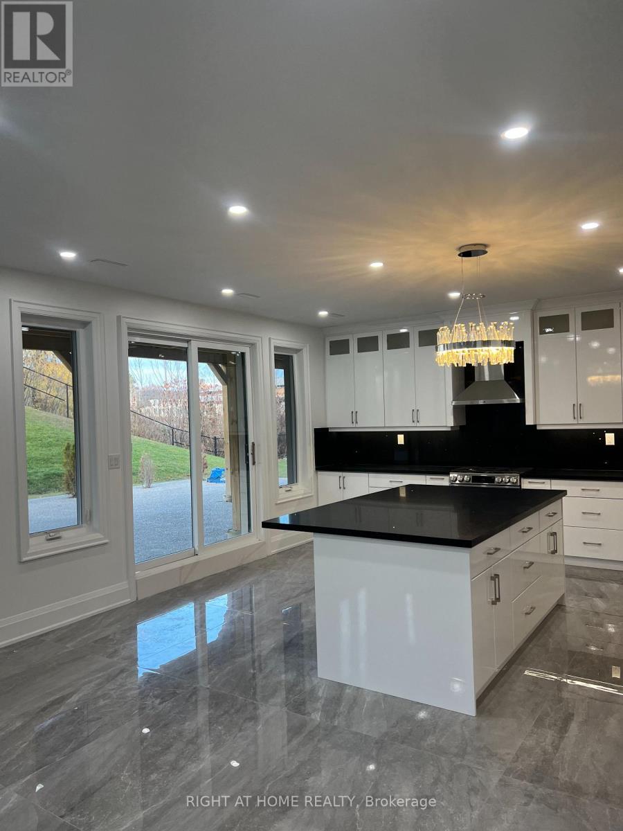 287 Torrey Pines Road, Vaughan, Ontario  L4H 3X3 - Photo 4 - N12573828