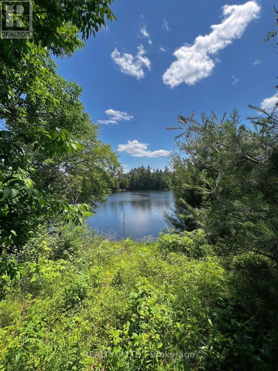 14276 Highway 41, Cloyne Road, Addington Highlands, Ontario  K0H 1K0 - Photo 5 - X12091420