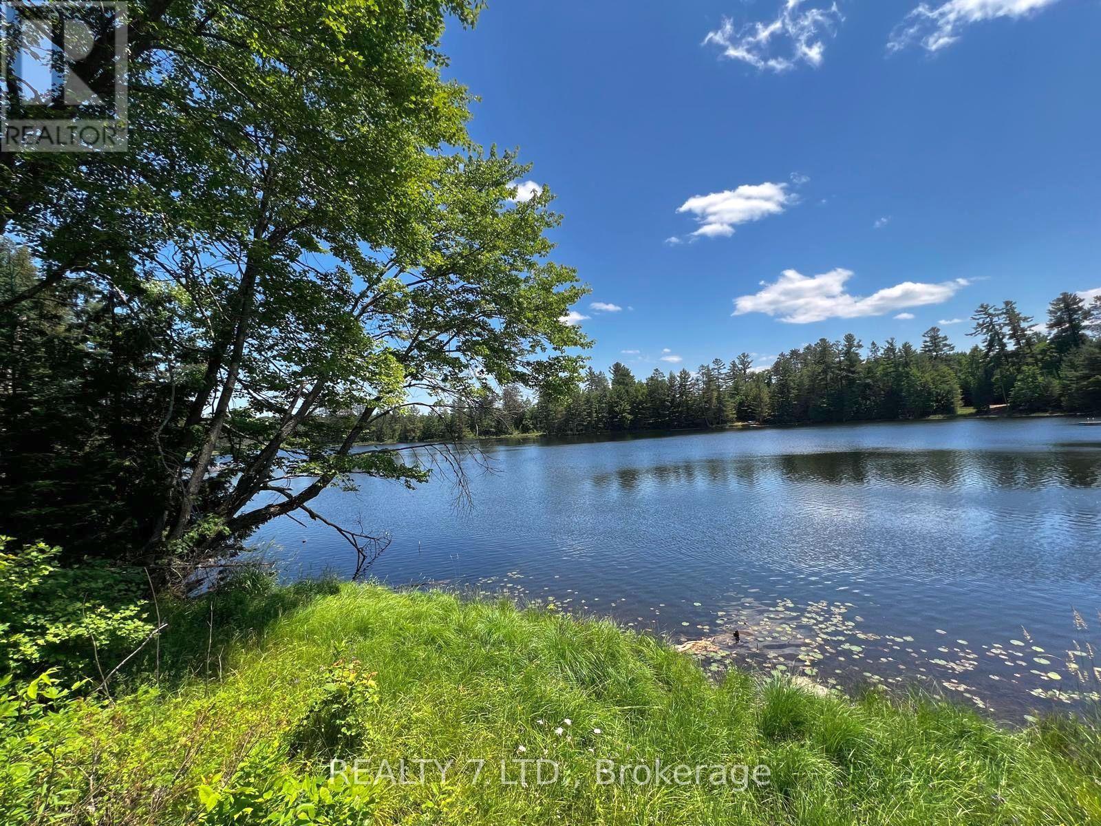 14276 Highway 41, Cloyne Road, Addington Highlands, Ontario  K0H 1K0 - Photo 6 - X12091420