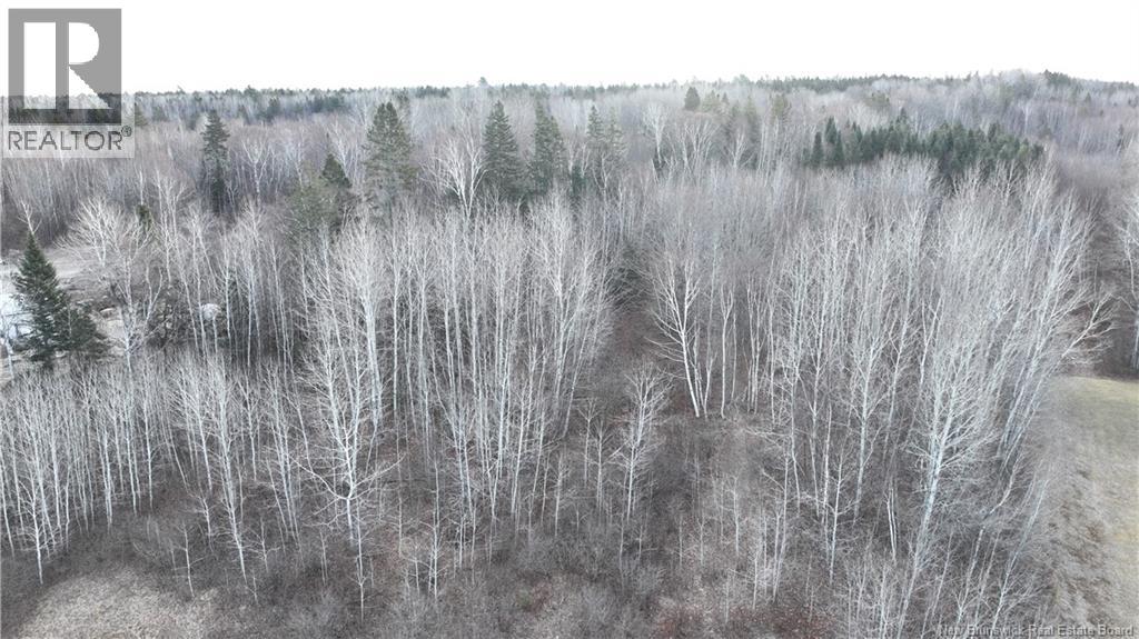 1.02 Hec Hwy 420, Sillikers, New Brunswick E9E 1T5 - Photo 6 - NB123405