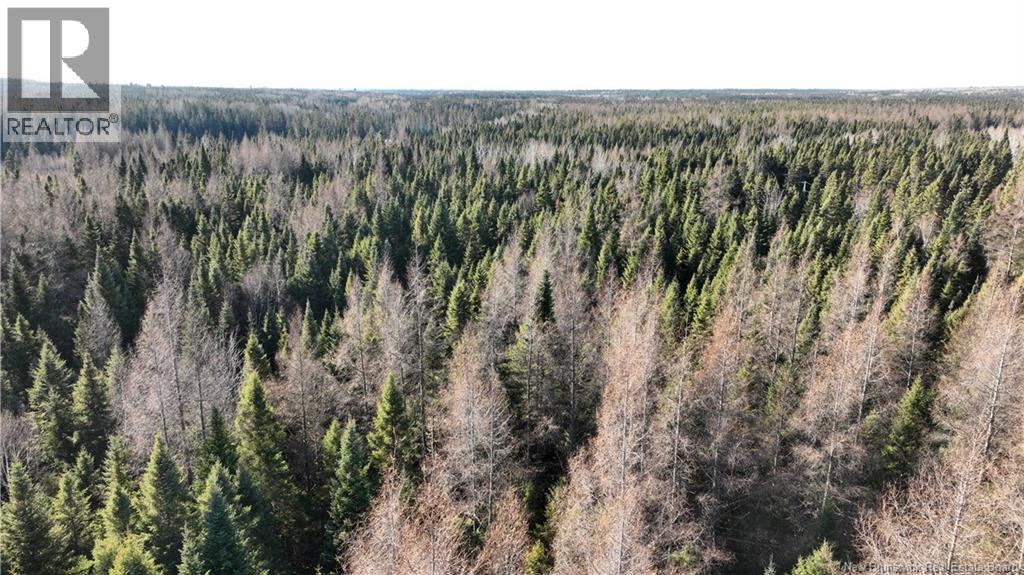3.34 Hec Hwy 430, Chaplin Island Road, New Brunswick  E2L 4K1 - Photo 1 - NB125856