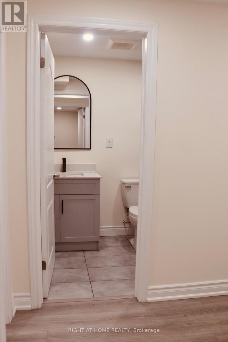 Basement - 335 Silk Twist Drive, East Gwillimbury, Ontario  L9N 0V4 - Photo 15 - N12574012