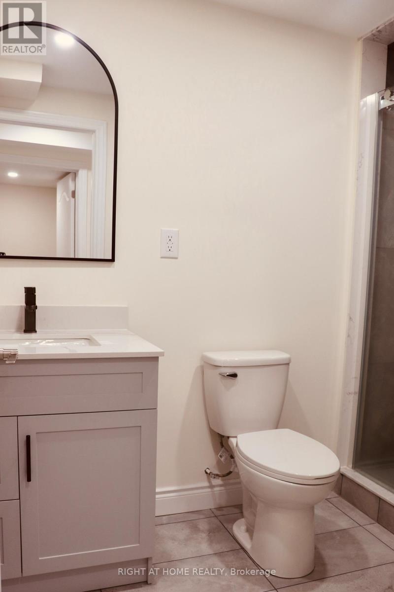 Basement - 335 Silk Twist Drive, East Gwillimbury, Ontario  L9N 0V4 - Photo 16 - N12574012