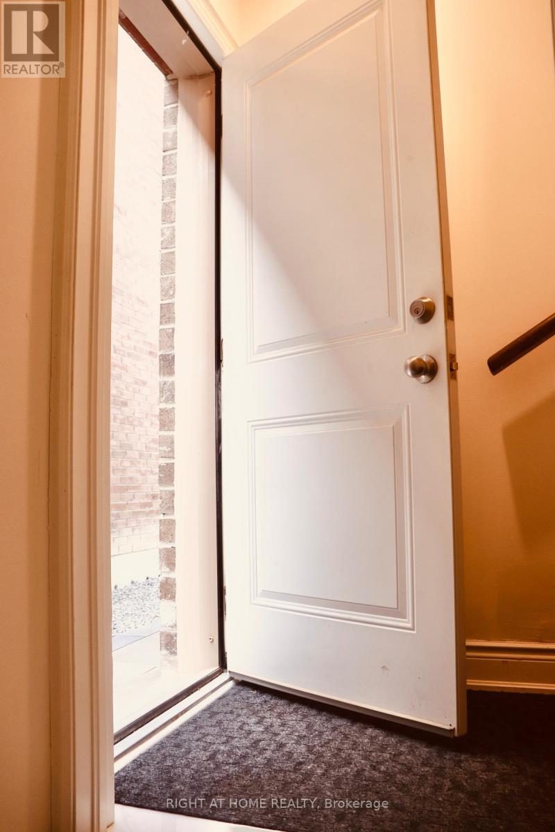 Basement - 335 Silk Twist Drive, East Gwillimbury, Ontario  L9N 0V4 - Photo 17 - N12574012