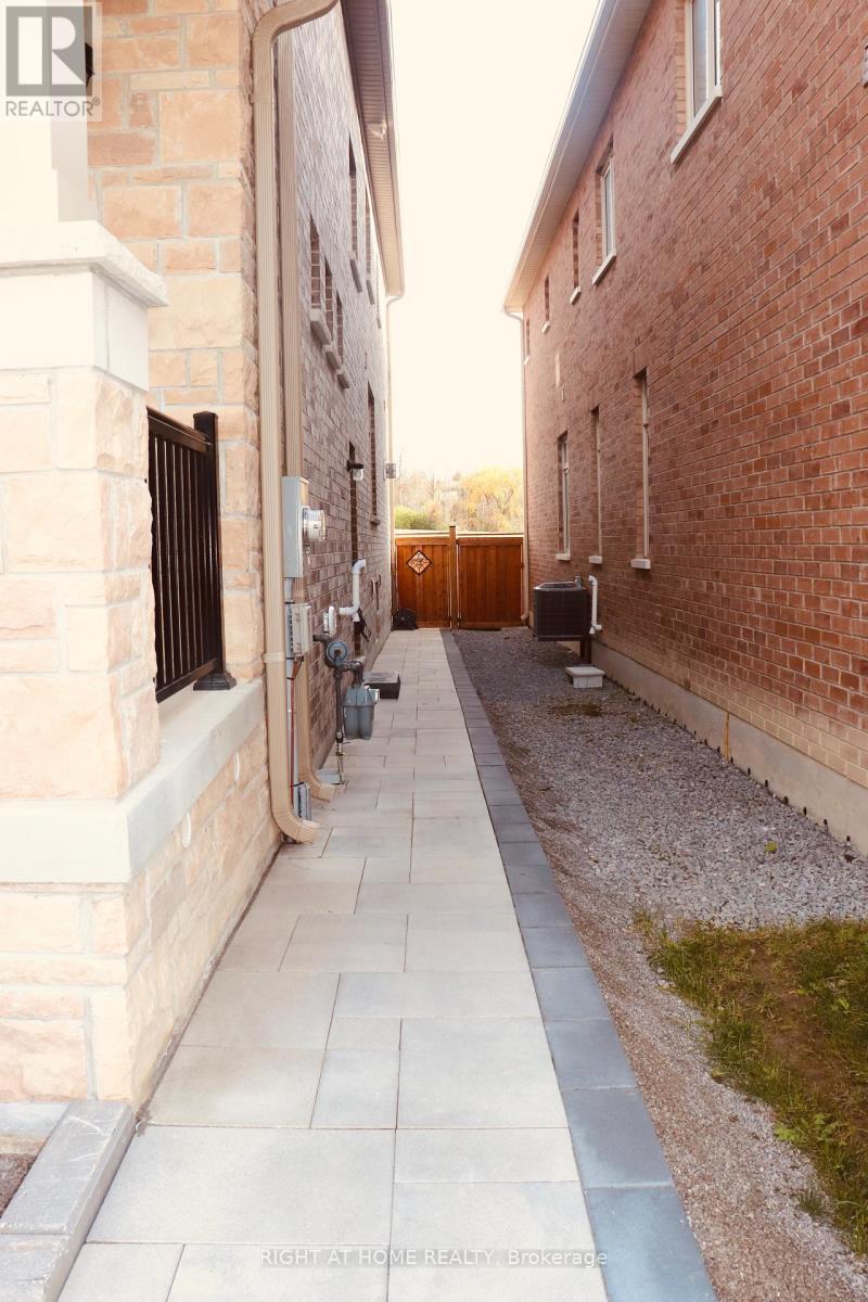 Basement - 335 Silk Twist Drive, East Gwillimbury, Ontario  L9N 0V4 - Photo 2 - N12574012