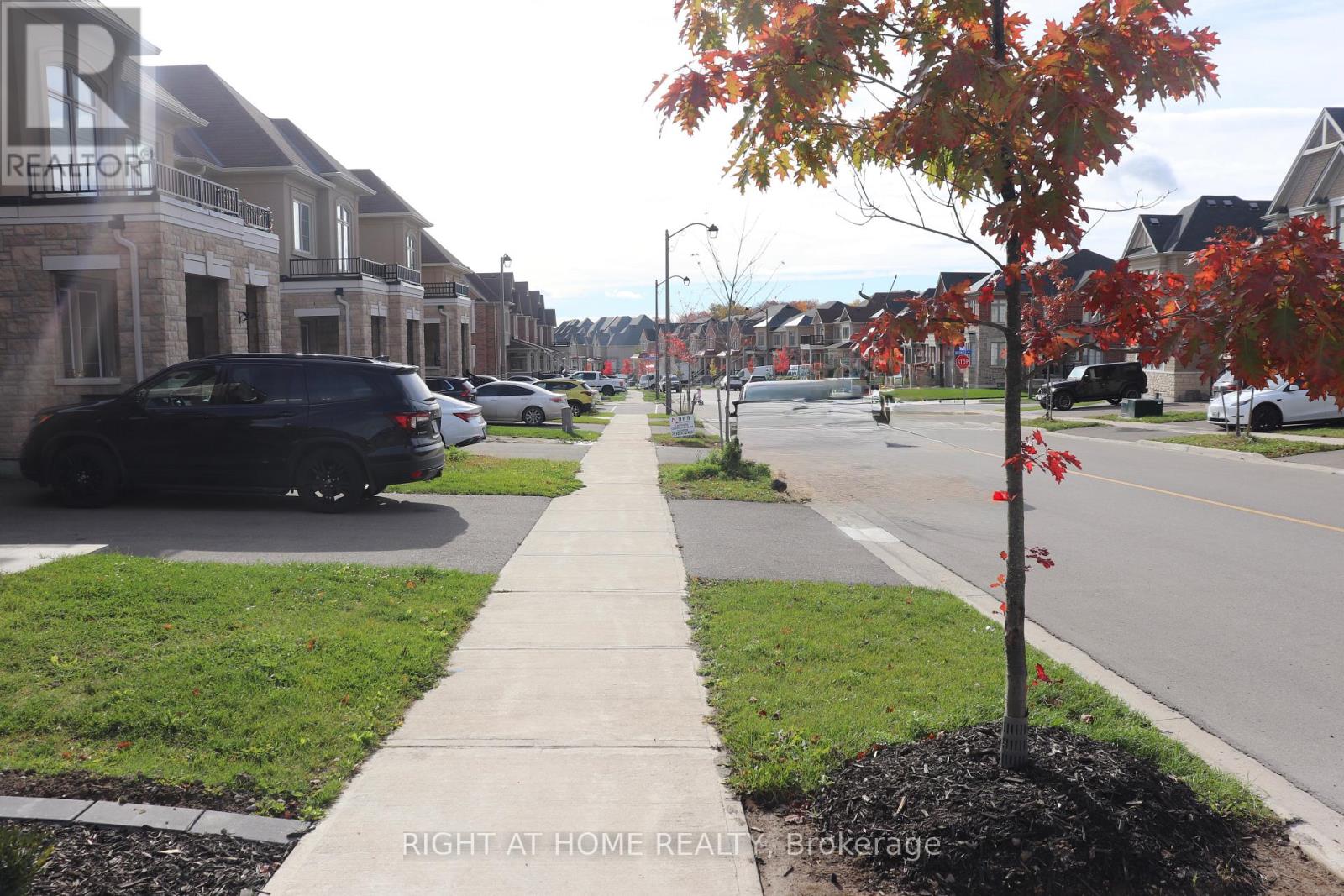 Basement - 335 Silk Twist Drive, East Gwillimbury, Ontario  L9N 0V4 - Photo 20 - N12574012