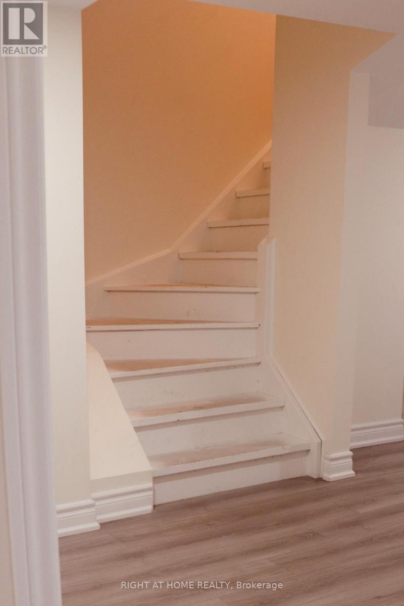 Basement - 335 Silk Twist Drive, East Gwillimbury, Ontario  L9N 0V4 - Photo 4 - N12574012