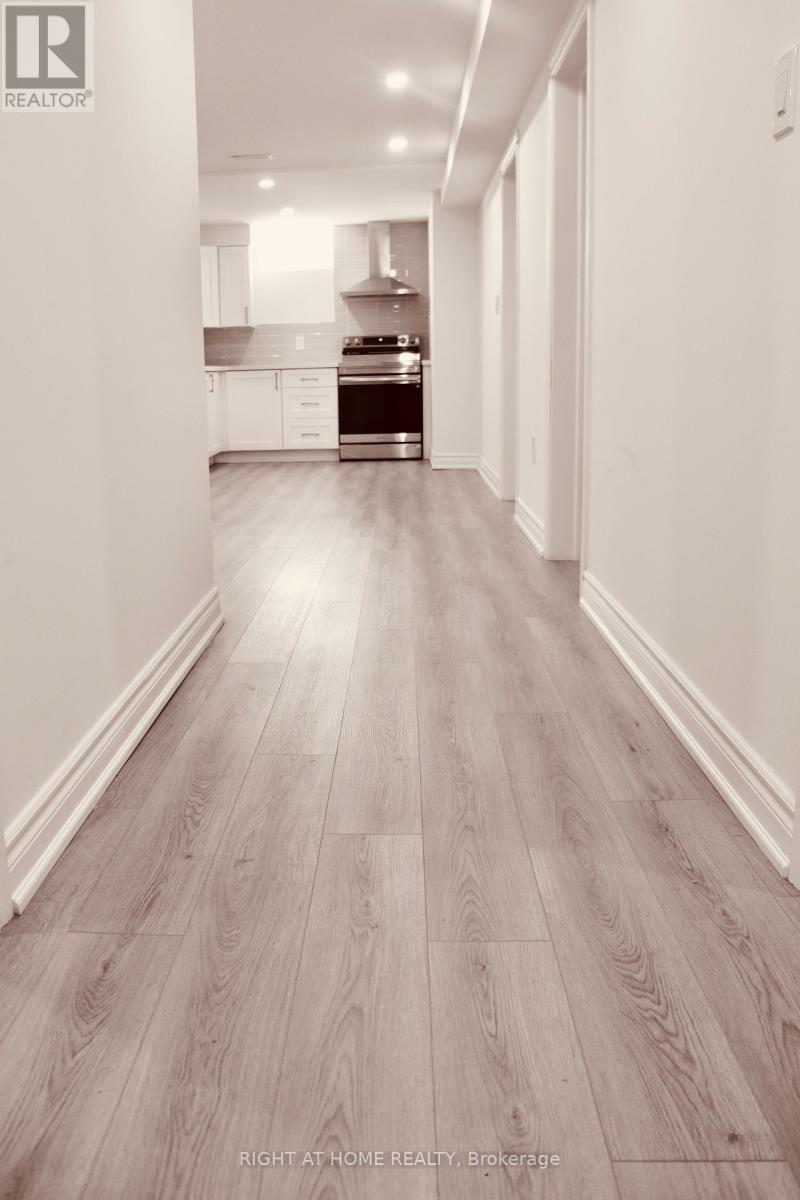 Basement - 335 Silk Twist Drive, East Gwillimbury, Ontario  L9N 0V4 - Photo 6 - N12574012