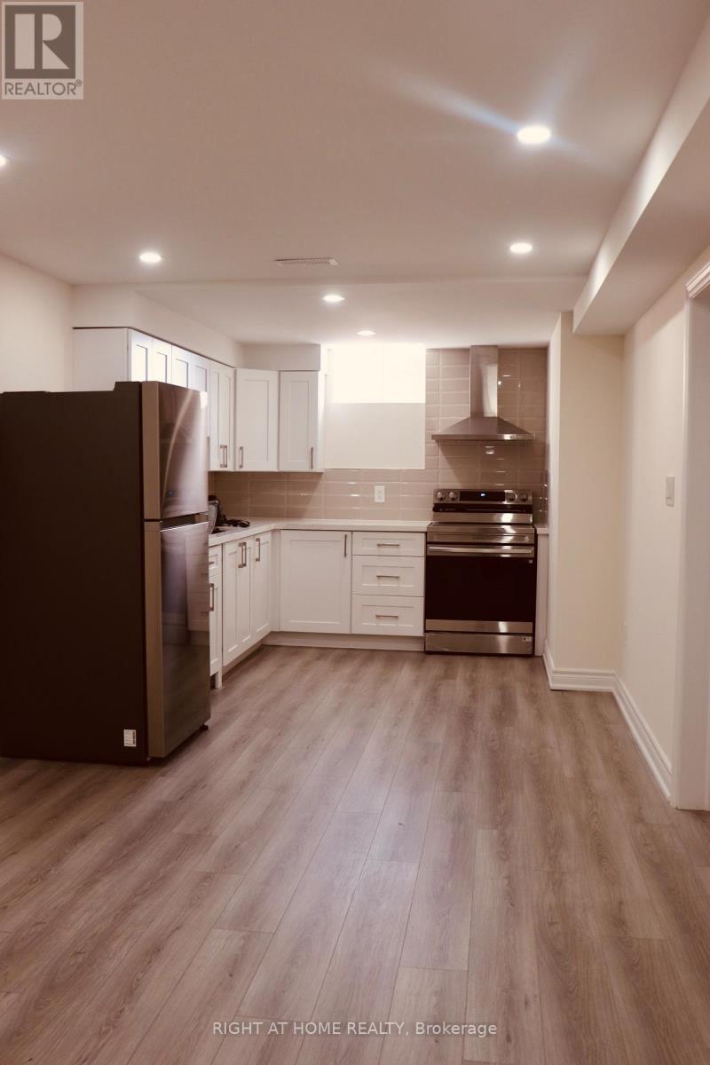 Basement - 335 Silk Twist Drive, East Gwillimbury, Ontario  L9N 0V4 - Photo 8 - N12574012