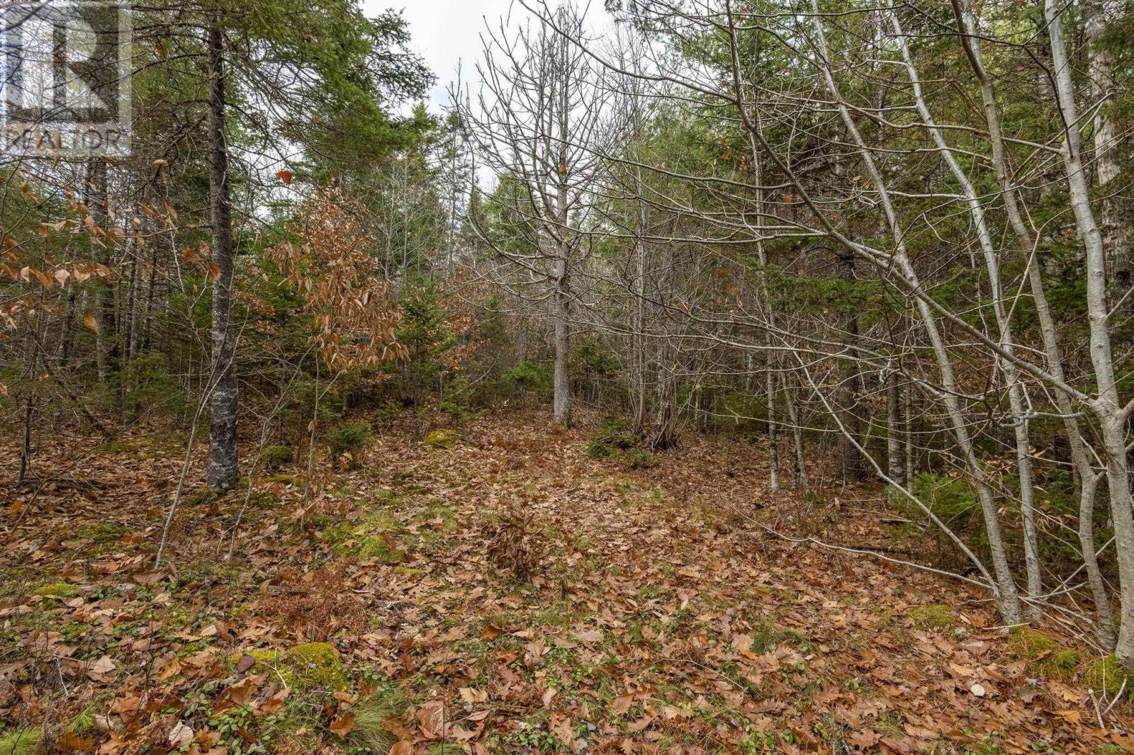 741 Westfield Road, Westfield, Nova Scotia  B0T 1B0 - Photo 25 - 202528497