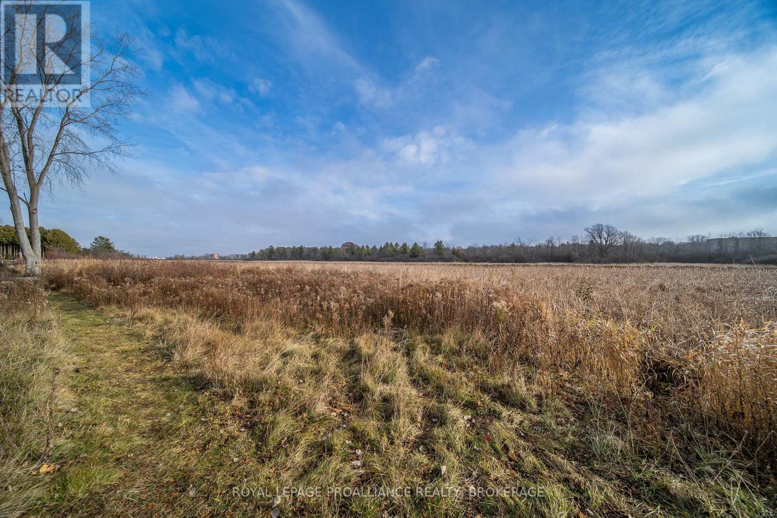 301 - 580 Armstrong Road, Kingston, Ontario  K7M 8M3 - Photo 40 - X12574084