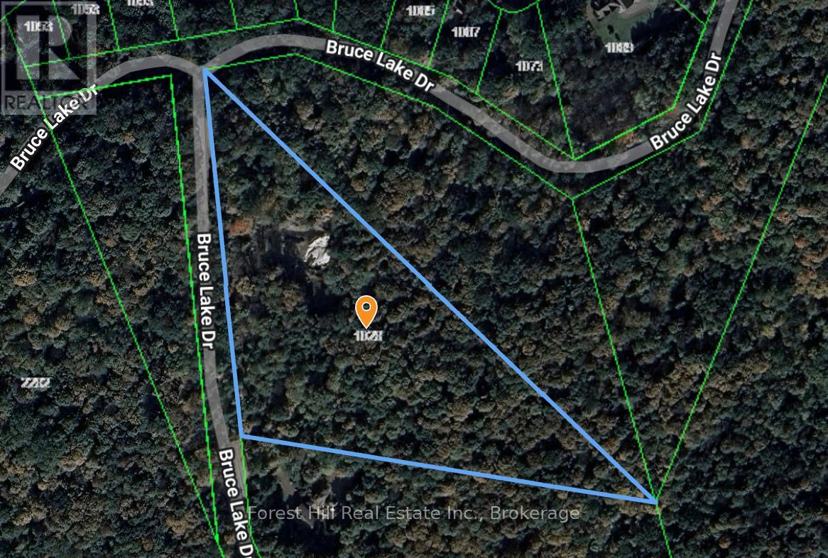 1028 Bruce Lake Drive, Muskoka Lakes, Ontario  P0B 1J0 - Photo 5 - X12418753