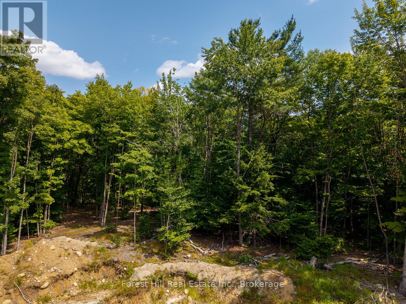 1028 Bruce Lake Drive, Muskoka Lakes, Ontario  P0B 1J0 - Photo 10 - X12418753