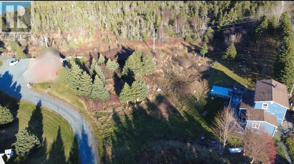 609-615 Seaforest Drive, Cupids, Newfoundland & Labrador  A0A 1W0 - Photo 1 - 1292836