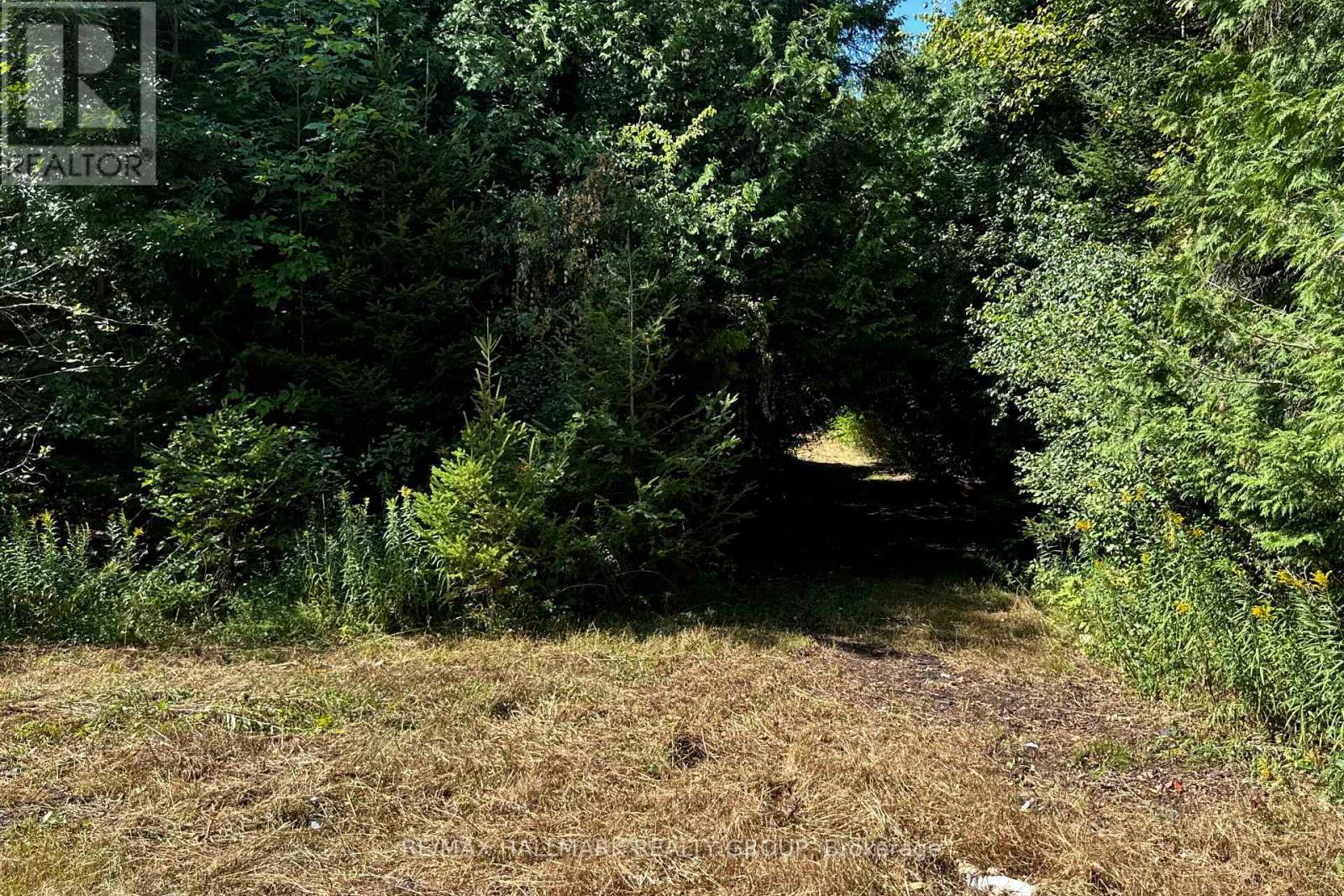 2485 Marshwood Road, Ottawa, Ontario  K0A 1L0 - Photo 14 - X12481151