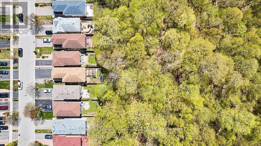 Basement Apartment - 76 Piperbrook Crescent, Toronto, Ontario  M1E 5G9 - Photo 28 - E12574296