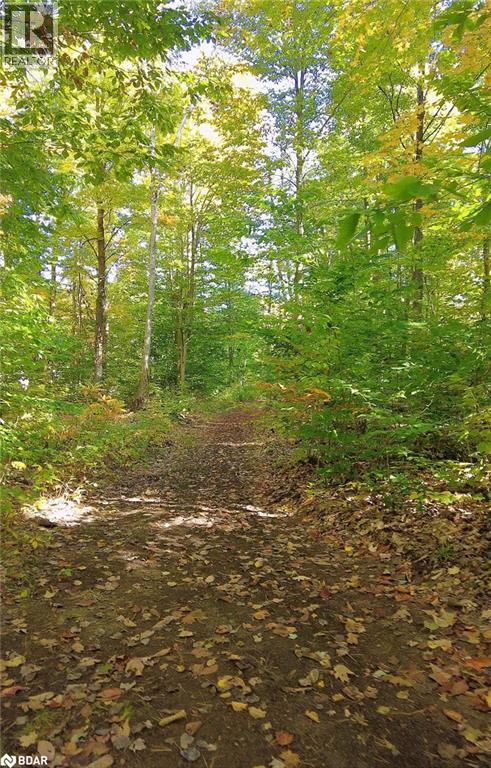 350 Concession 5 W, Tiny, Ontario  L0L 2T0 - Photo 27 - 40790395