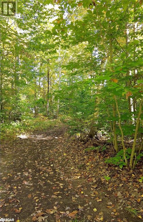 350 Concession 5 W, Tiny, Ontario  L0L 2T0 - Photo 28 - 40790395