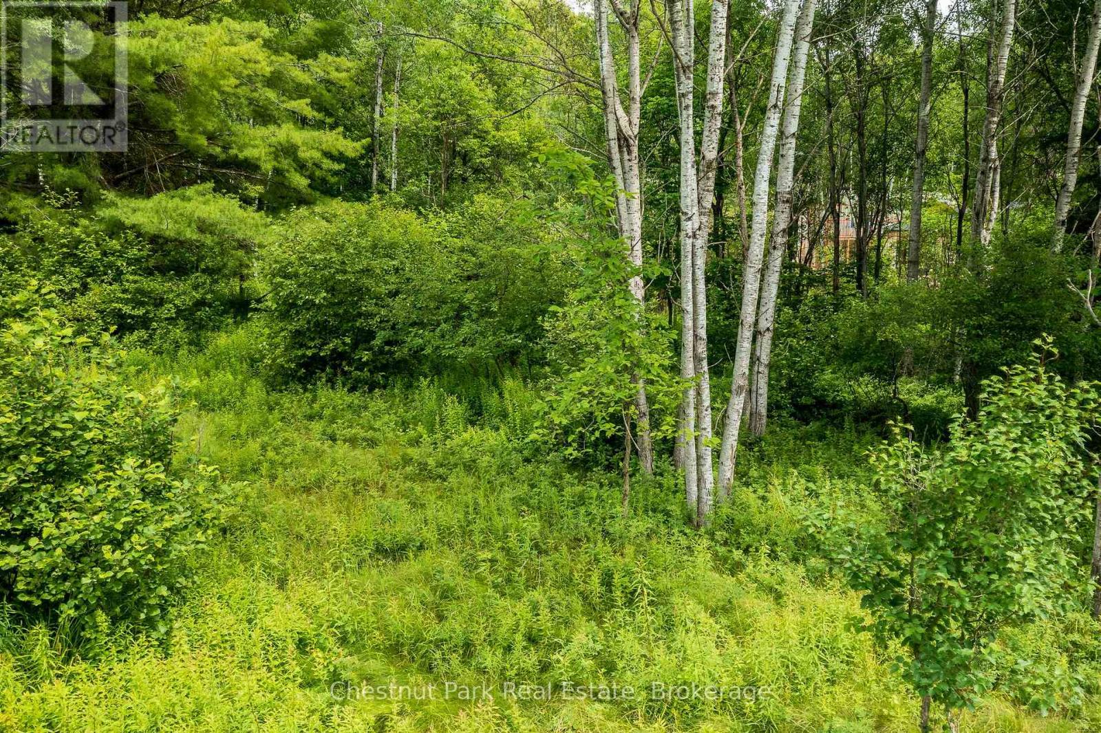 17 Vernon Lane, Huntsville, Ontario  P1H 2J2 - Photo 6 - X12574644