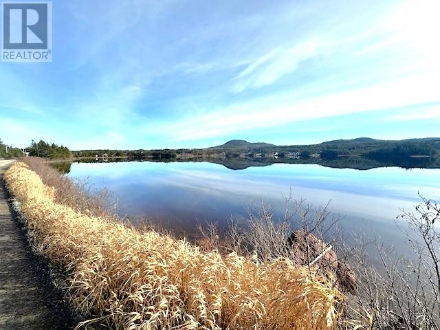100 Old Mill Road, Goobies, Newfoundland & Labrador  A0B 1N0 - Photo 22 - 1292859