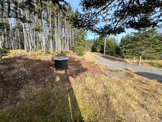 100 Old Mill Road, Goobies, Newfoundland & Labrador  A0B 1N0 - Photo 7 - 1292859