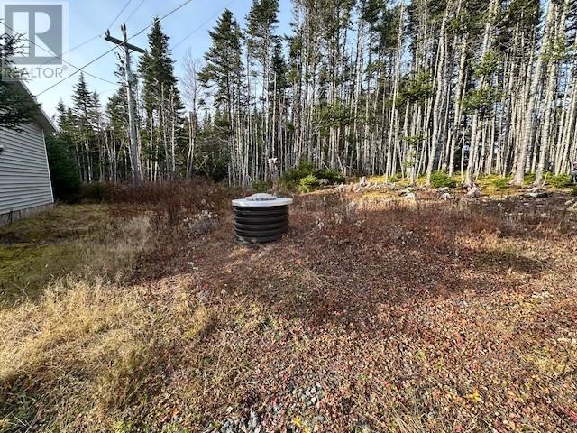 100 Old Mill Road, Goobies, Newfoundland & Labrador  A0B 1N0 - Photo 8 - 1292859