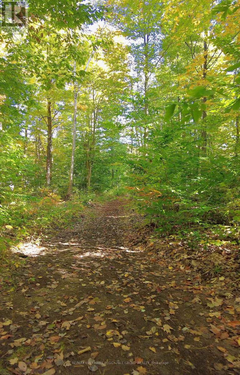 350 5 Concession W, Tiny, Ontario  L0L 2T0 - Photo 27 - S12574698