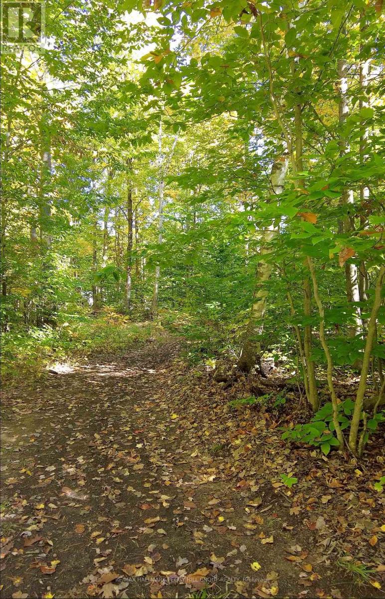 350 5 Concession W, Tiny, Ontario  L0L 2T0 - Photo 28 - S12574698