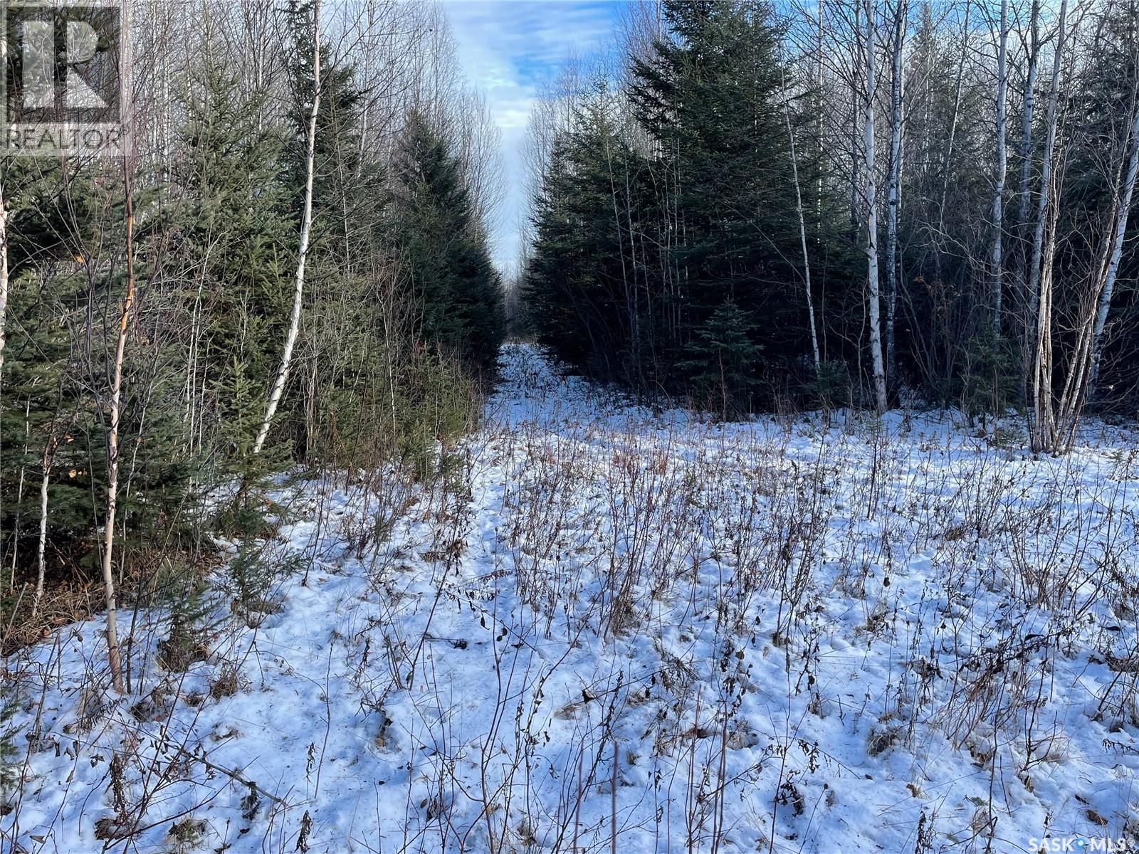 Peifer N. Cabin Lease, Hudson Bay Rm No. 394, Saskatchewan  S0E 0Y0 - Photo 1 - SK024650