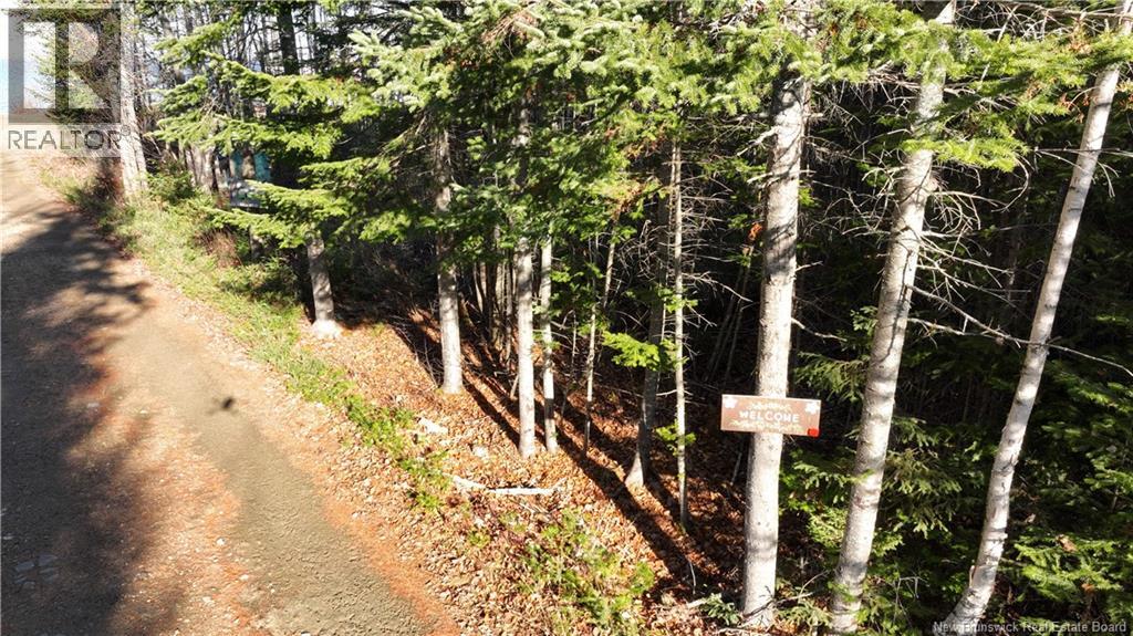 Lot 10-2 Hardwick Road, Hardwicke, New Brunswick  E9A 1L6 - Photo 7 - NB125436